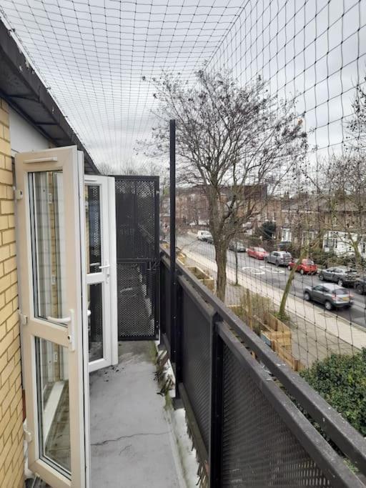 Homestay Wilmot Close